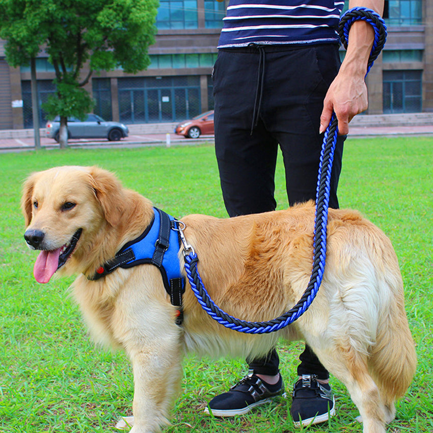 Dog Leash Dog Leash Chest Strap